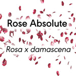 Rose Absolute - 2ml